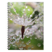 Delicate Dandelion Abstract Notitieboek (Voorkant)