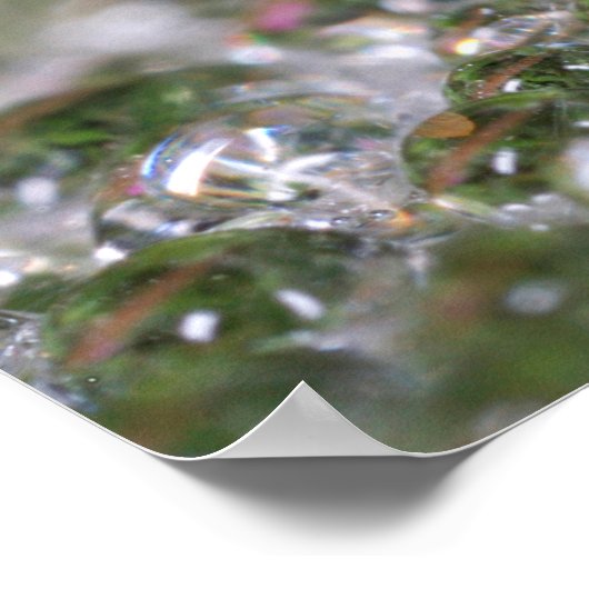 Delicate Dandelion Abstract Poster (Hoek)