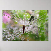 Delicate Dandelion Abstract Poster (Voorkant)