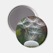 Delicate Dandelion Seeds  Magneet (Voorkant / Achterkant)