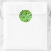 Delicate Ferns Ronde Sticker (Tas)