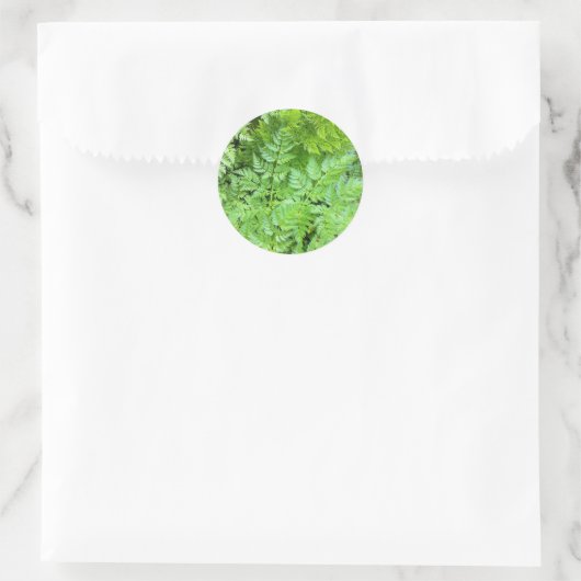 Delicate Ferns Ronde Sticker (Tas)