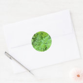 Delicate Ferns Ronde Sticker (Envelop)
