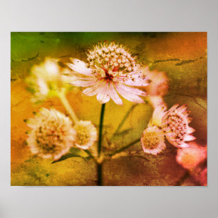 Delicate Flowers Abstract Poster