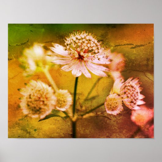 Delicate Flowers Abstract Poster (Voorkant)