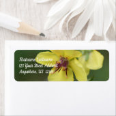 Delicate gele ventilator dicht adres etiket (Insitu)