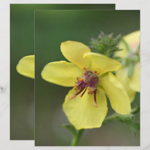 Delicate gele ventilator Sluiten Scrapbook