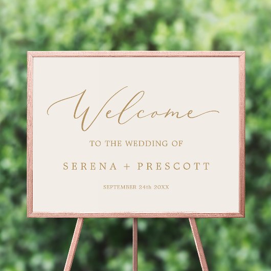 Delicate Gold-kalligrafie | Welkom bij het homohuw Poster