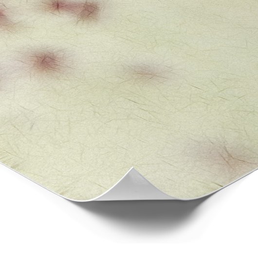 Delicate Hellebore Blossom Poster (Hoek)