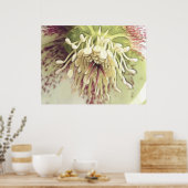 Delicate Hellebore Blossom Poster (Keuken)