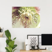 Delicate Hellebore Blossom Poster (Thuiskantoor)