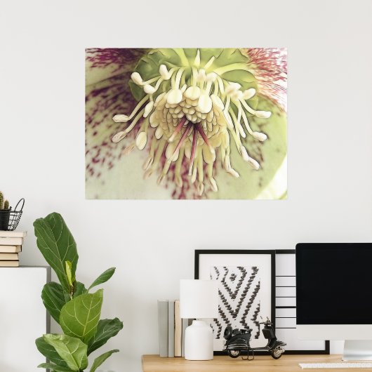 Delicate Hellebore Blossom Poster (Thuiskantoor)