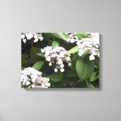 Delicate Hydrangeas Canvas Afdruk (Voorkant)