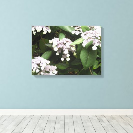 Delicate Hydrangeas Canvas Afdruk (Insitu (Houten vloer))
