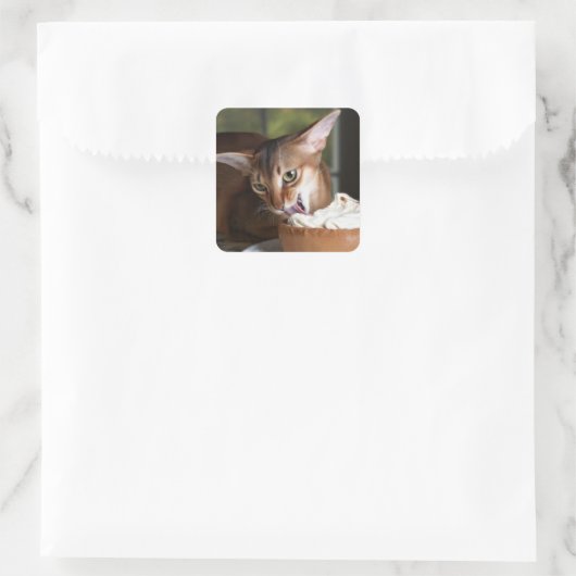 Delicate Indulgence Cat Sticker (Tas)