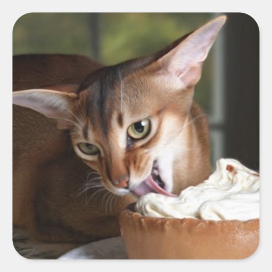 Delicate Indulgence Cat Sticker (Voorkant)