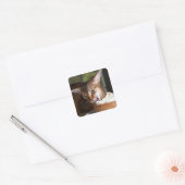 Delicate Indulgence Cat Sticker (Envelop)