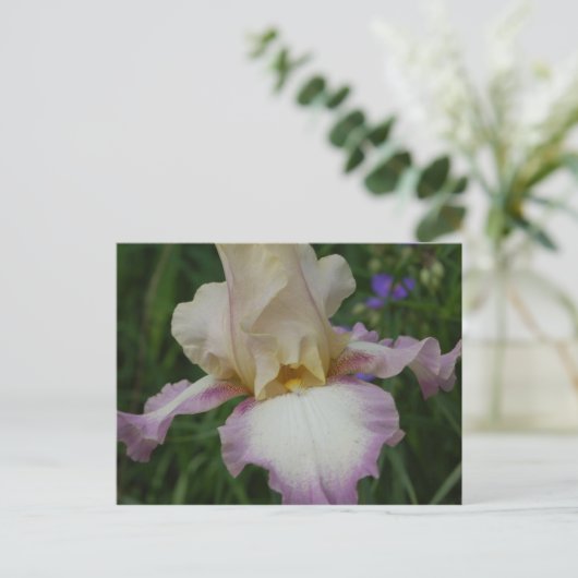 Delicate Iris Briefkaart (Staand voorkant)