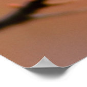 Delicate Japanse abrikozenbloesems Poster (Hoek)