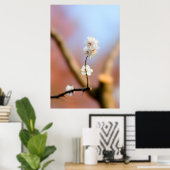 Delicate Japanse abrikozenbloesems Poster (Thuiskantoor)
