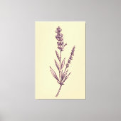 Delicate Lavendel Sprig op Cream Achtergrond Canvas Afdruk (Voorkant)