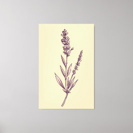 Delicate Lavendel Sprig op Cream Achtergrond Canvas Afdruk