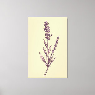 Delicate Lavendel Sprig op Cream Achtergrond Canvas Afdruk