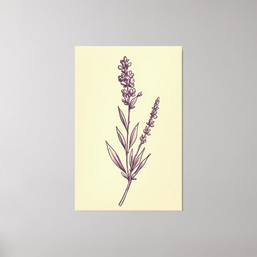 Delicate Lavendel Sprig op Cream Achtergrond Canvas Afdruk (Voorkant)
