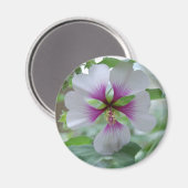 Delicate Lily - magneet (Voorkant / Achterkant)