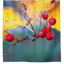 Delicate meidoornbessen in de herfst