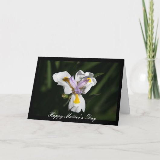 delicate moederbloem kaart (Voorkant)