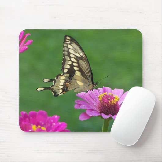 Delicate Monarch Muismat (Met muis)