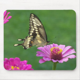 Delicate Monarch Muismat