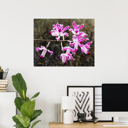 Delicate Orchid Blossom Wall Art 28x22 Poster (Thuiskantoor)