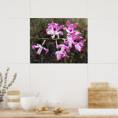 Delicate Orchid Blossom Wall Art 28x22 Poster (Keuken)