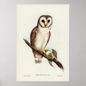Delicate Owl van Elizabeth Gould Poster (Voorkant)