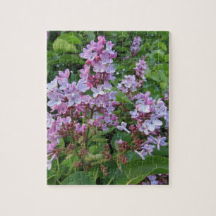 Delicate paarse bloemen van een seringenstruik legpuzzel