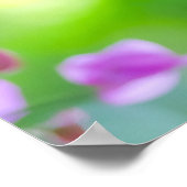 Delicate Paarse Bougainvillea Poster (Hoek)