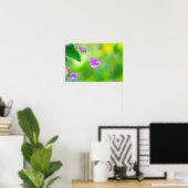 Delicate Paarse Bougainvillea Poster (Thuiskantoor)