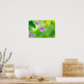 Delicate Paarse Bougainvillea Poster (Keuken)