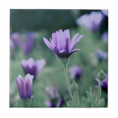 Delicate Paarse lavender Flowers Tegeltje (Voorkant)