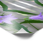 Delicate Paarse Lily Flowers Mirror Abstract 8x8 Foto Afdruk (Hoek)