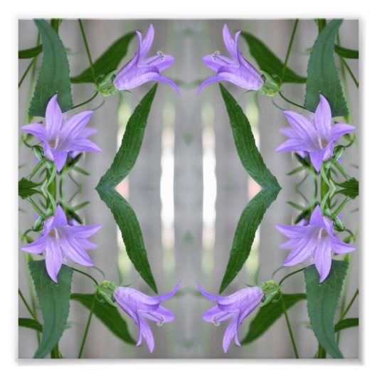 Delicate Paarse Lily Flowers Mirror Abstract 8x8 Foto Afdruk (Voorkant)