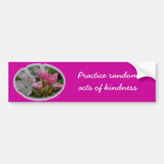 Delicate Pink Azaleas Bumpersticker (Voorkant)