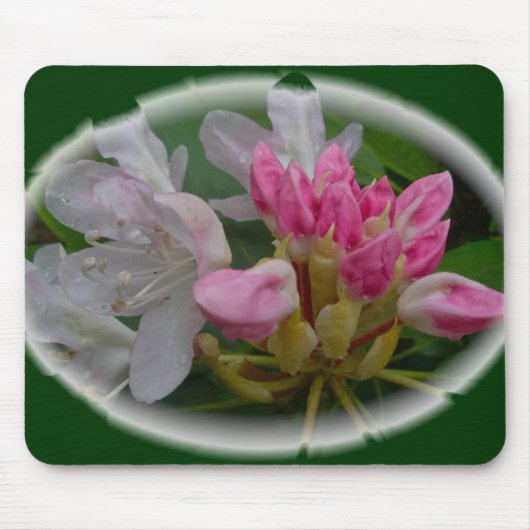 Delicate Pink Azaleas Muismat (Voorkant)