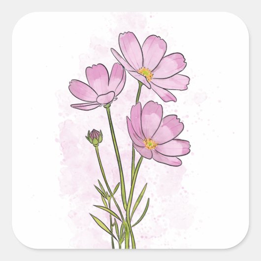 Delicate Pink Cosmos Flower Waterverf Vierkante Sticker (Voorkant)