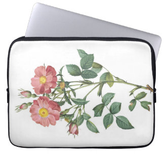Delicate Pink Rose Botanische Illustratie Laptop Sleeve