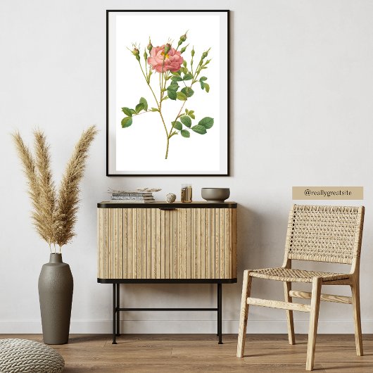 Delicate Pink Rose Botanische Kunst Print