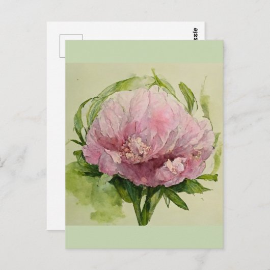 Delicate pioenroze  briefkaart (Voorkant / Achterkant)