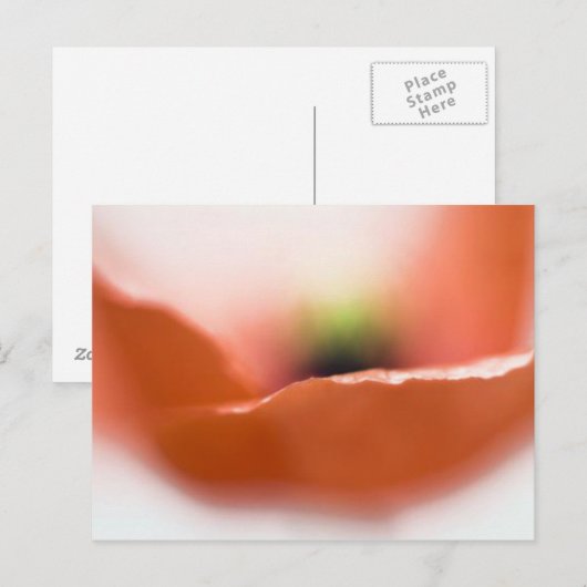 Delicate Poppy Briefkaart (Voorkant / Achterkant)